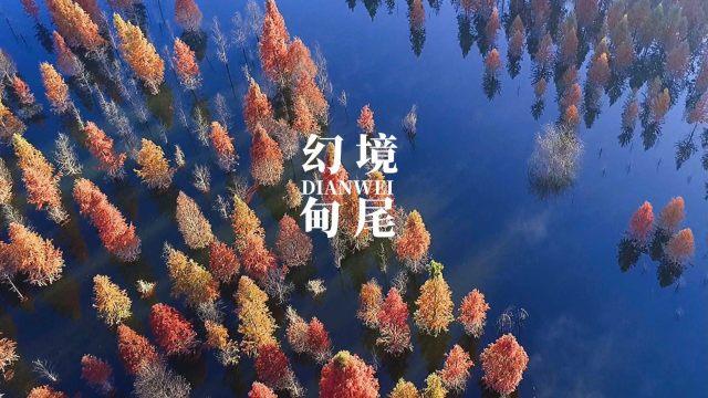 整蛊邻居