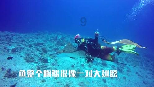 接吻会传染大三阳吗 接吻会传染大三阳吗 9/30