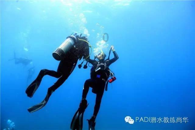 小猫钓鱼开船版最新版下载